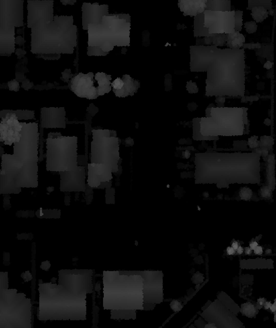 Grayscale normalized digital surface model